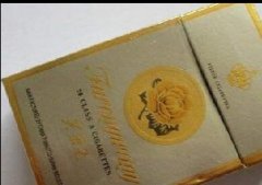 揭秘便宜桫椤香烟总仓，品质与实惠的完美结合|越代香烟网