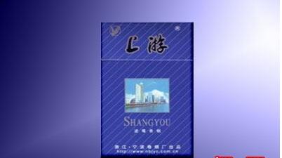 吉林市室外烟花爆炸事件