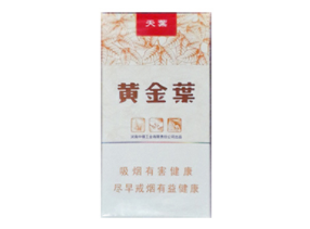 10元石林香烟