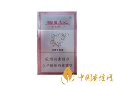 各种高端香烟视频播放